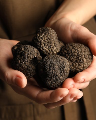 Die besten Gr&uuml;nde, warum Sie auf Tr&uuml;ffelsuche gehen sollten