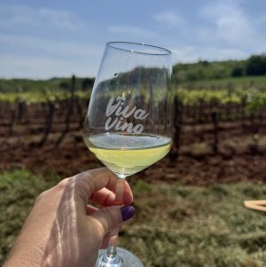 Ein Glas „Viva Vino“ mit Blick auf einen istrischen Weinberg
