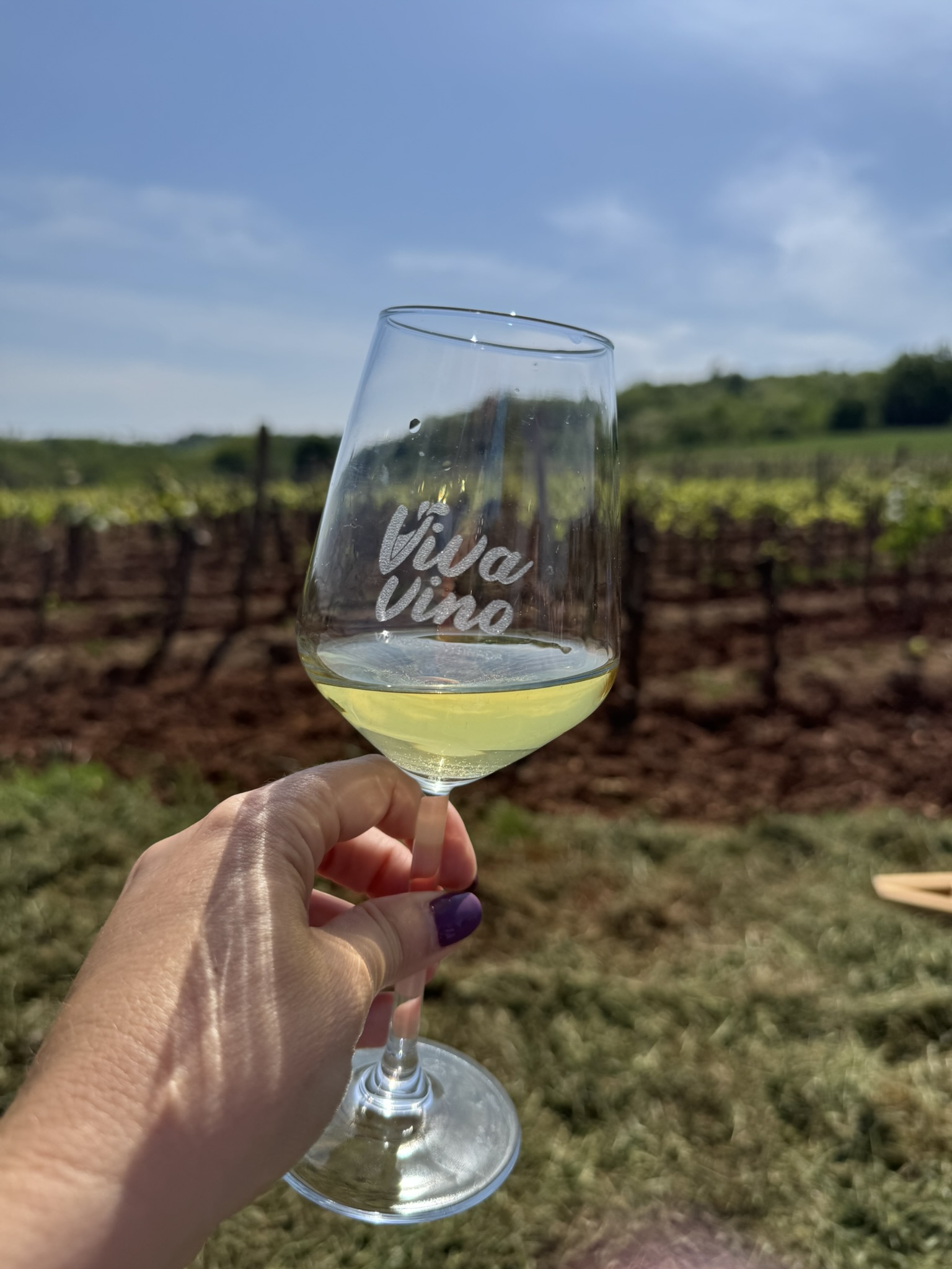 A glass of Viva Vino with a view of an Istrian vineyard A glass of Viva Vino with a view of an Istrian vineyard