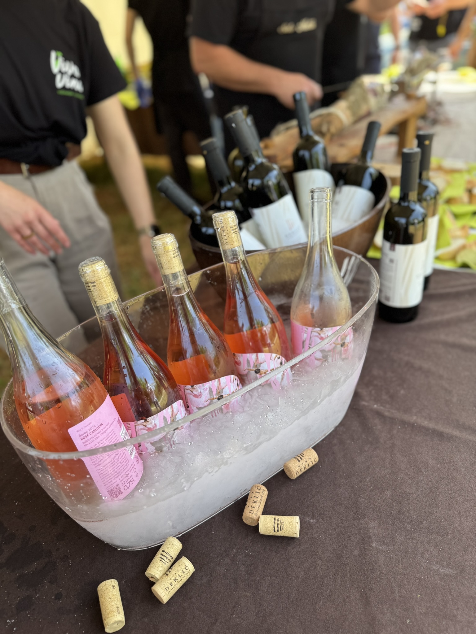 Deklić wines enjoyed by many experience participants Deklić wines enjoyed by many experience participants