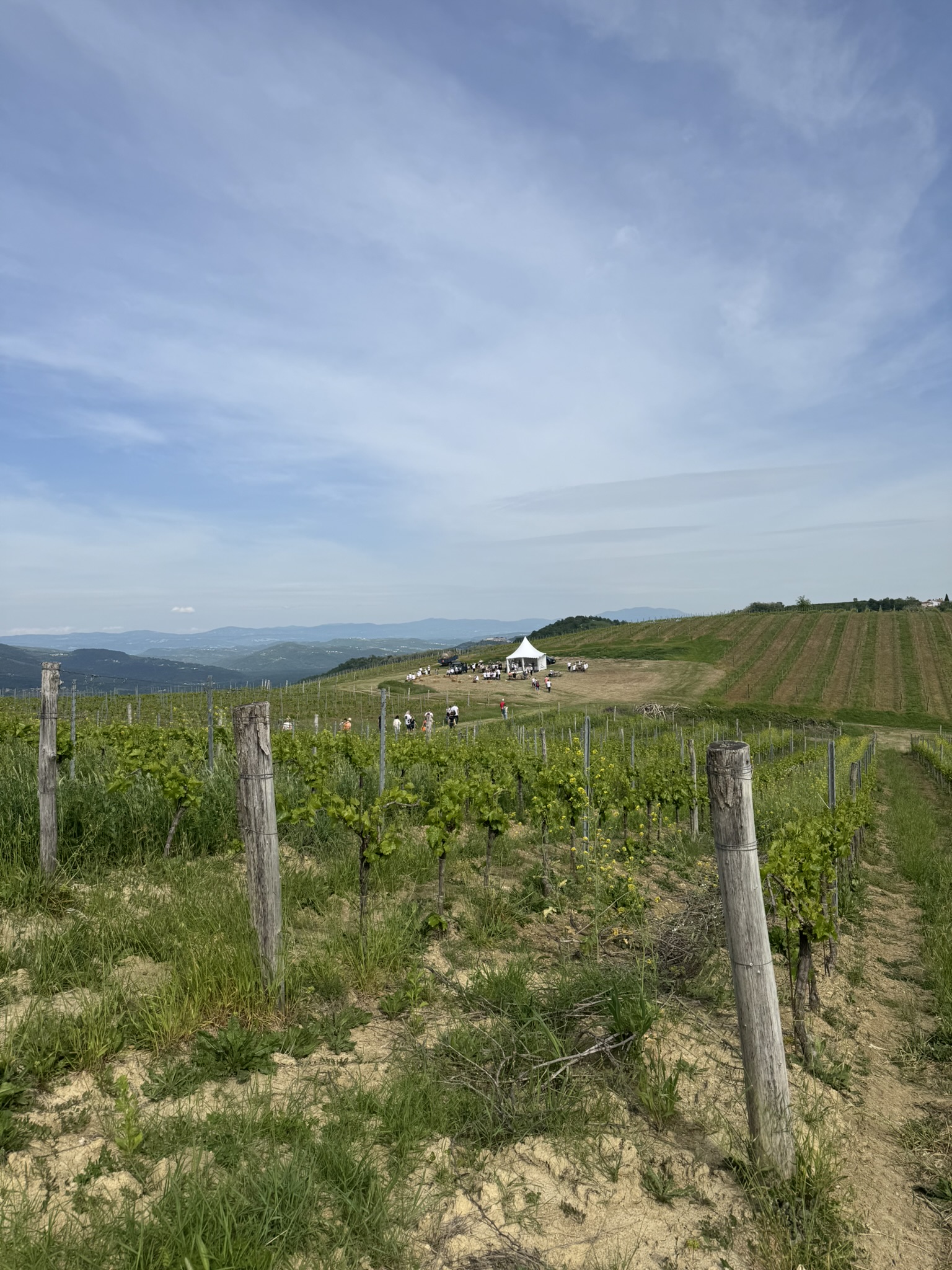 The path to the last stop of Wine & Walk in Vižinada The path to the last stop of Wine & Walk in Vižinada
