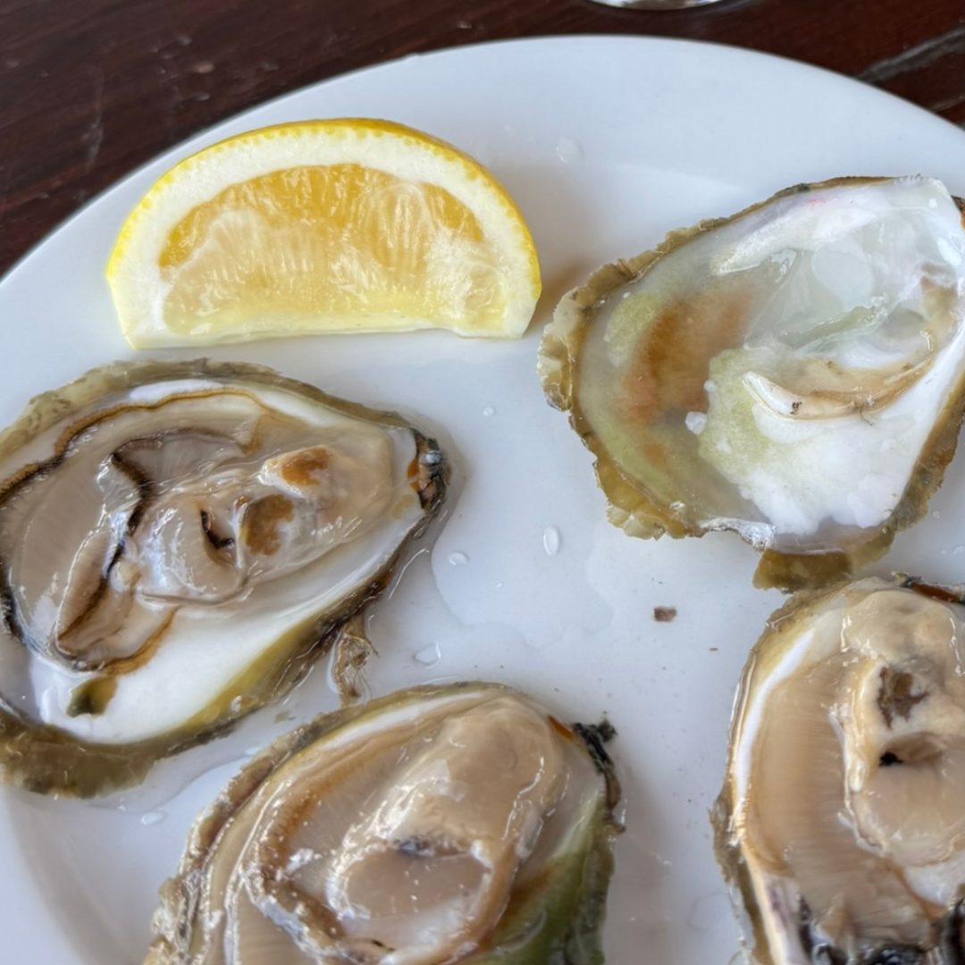 A plate of freshly shucked oysters served with lemon wedges and a glass of white wine on a wooden table in Mali Ston A plate of freshly shucked oysters served with lemon wedges on a wooden table in Mali Ston