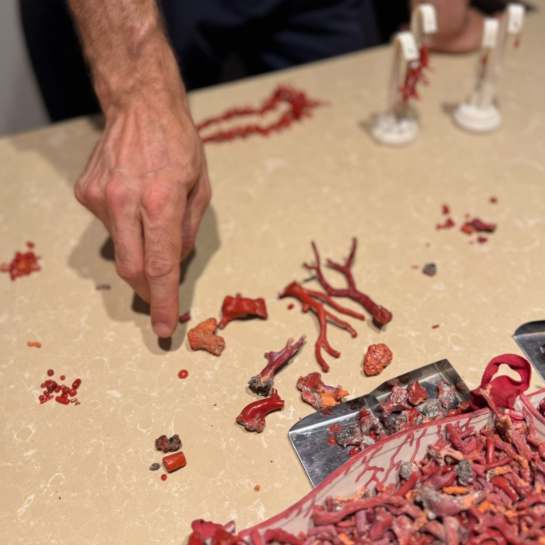 Nahaufnahme der Hand eines Juweliers, der auf rohe rote Korallenst&uuml;cke auf der Werkbank von Clara Stones in Dubrovnik zeigt. 