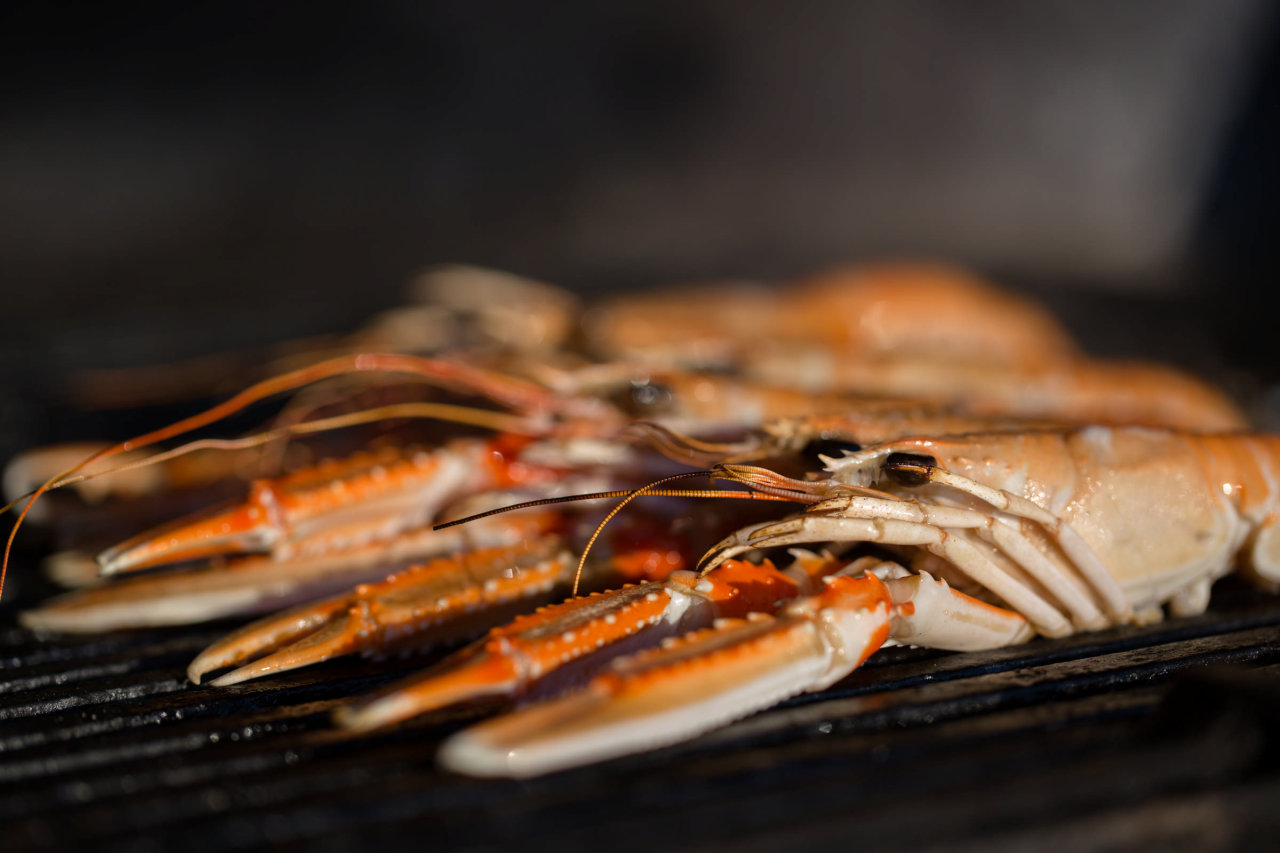 Frische Kvarner-Scampi vom Grill, Nahaufnahme Frische Kvarner-Scampi vom Grill, Nahaufnahme