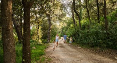 Eine Familienwanderung auf dem bewaldeten Capo-Fronte-Weg auf der Insel Rab