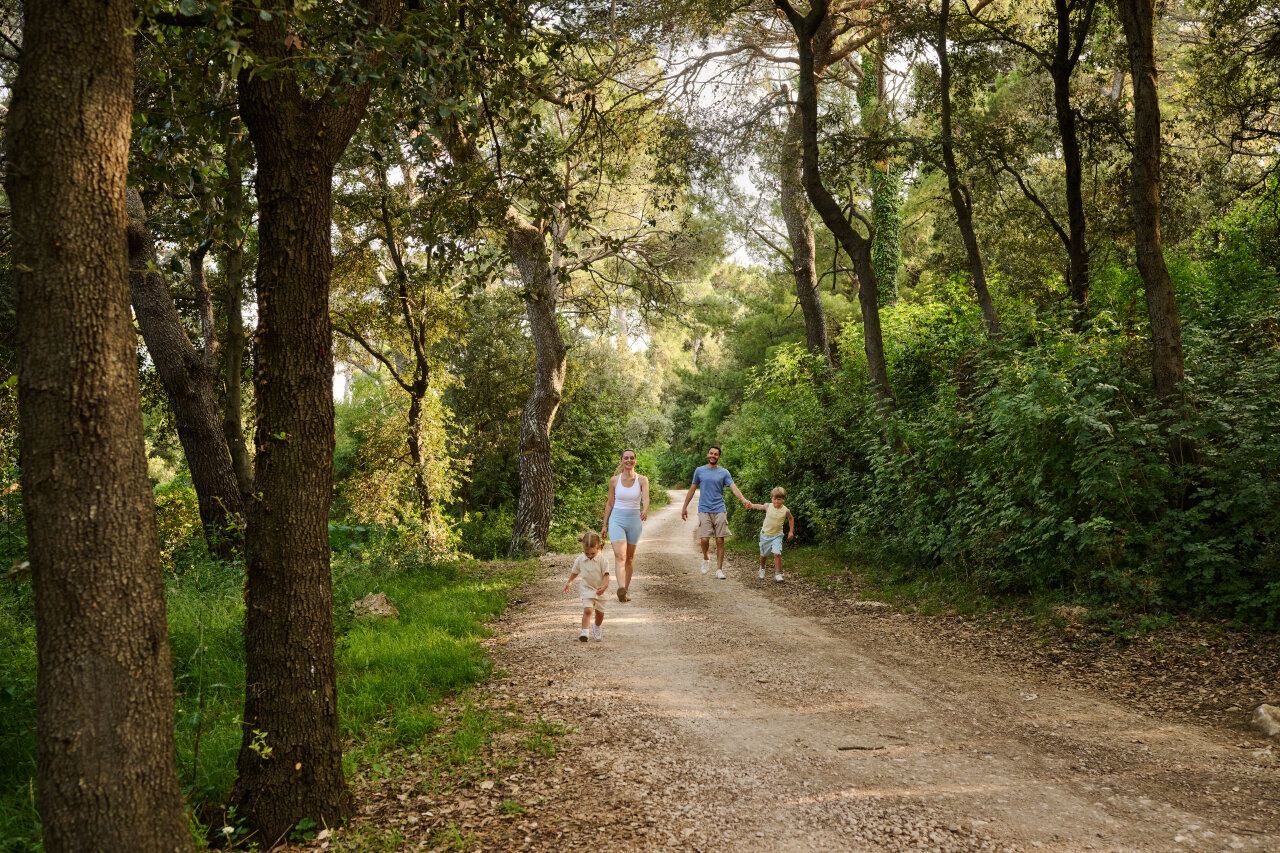 Eine Familienwanderung auf dem bewaldeten Capo-Fronte-Weg auf der Insel Rab Eine Familienwanderung auf dem bewaldeten Capo-Fronte-Weg auf der Insel Rab