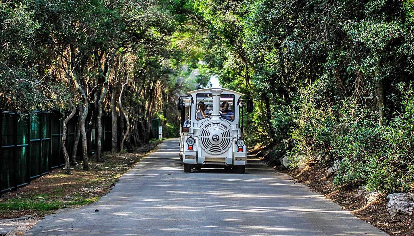Tourist train driving through Brijuni National Park