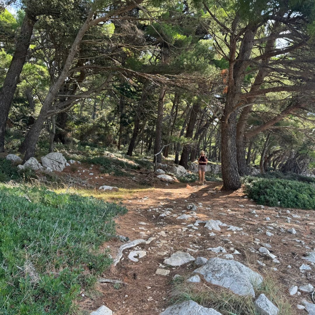 Walking trail through a pine forest on Rab Island, with sunlight filtering through the trees and the sea visible in the distance. Walking trail through a pine forest on Rab Island, with sunlight filtering through the trees and the sea visible in the distance.