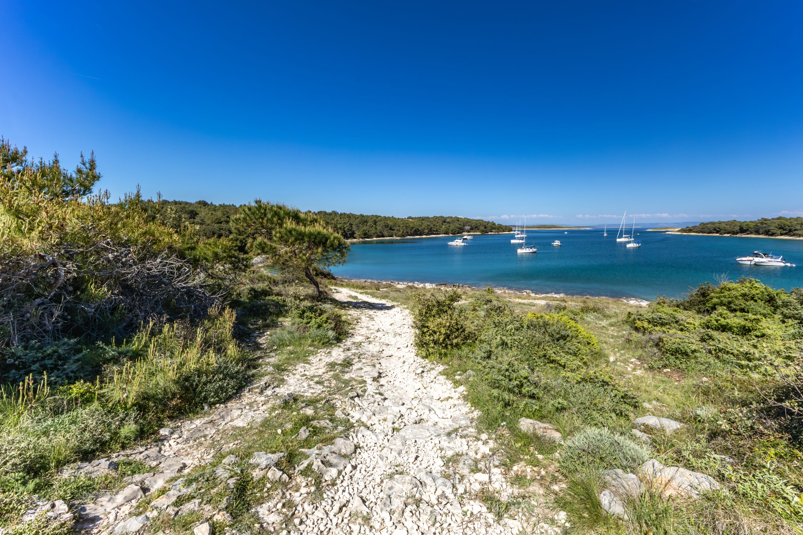 Panoramic view of Kamenjak’s rugged coastline with rocky shores, turquoise sea, and lush Mediterranean vegetation under a bright blue sky. Panoramic view of Kamenjak’s rugged coastline with rocky shores, turquoise sea, and lush Mediterranean vegetation under a bright blue sky.