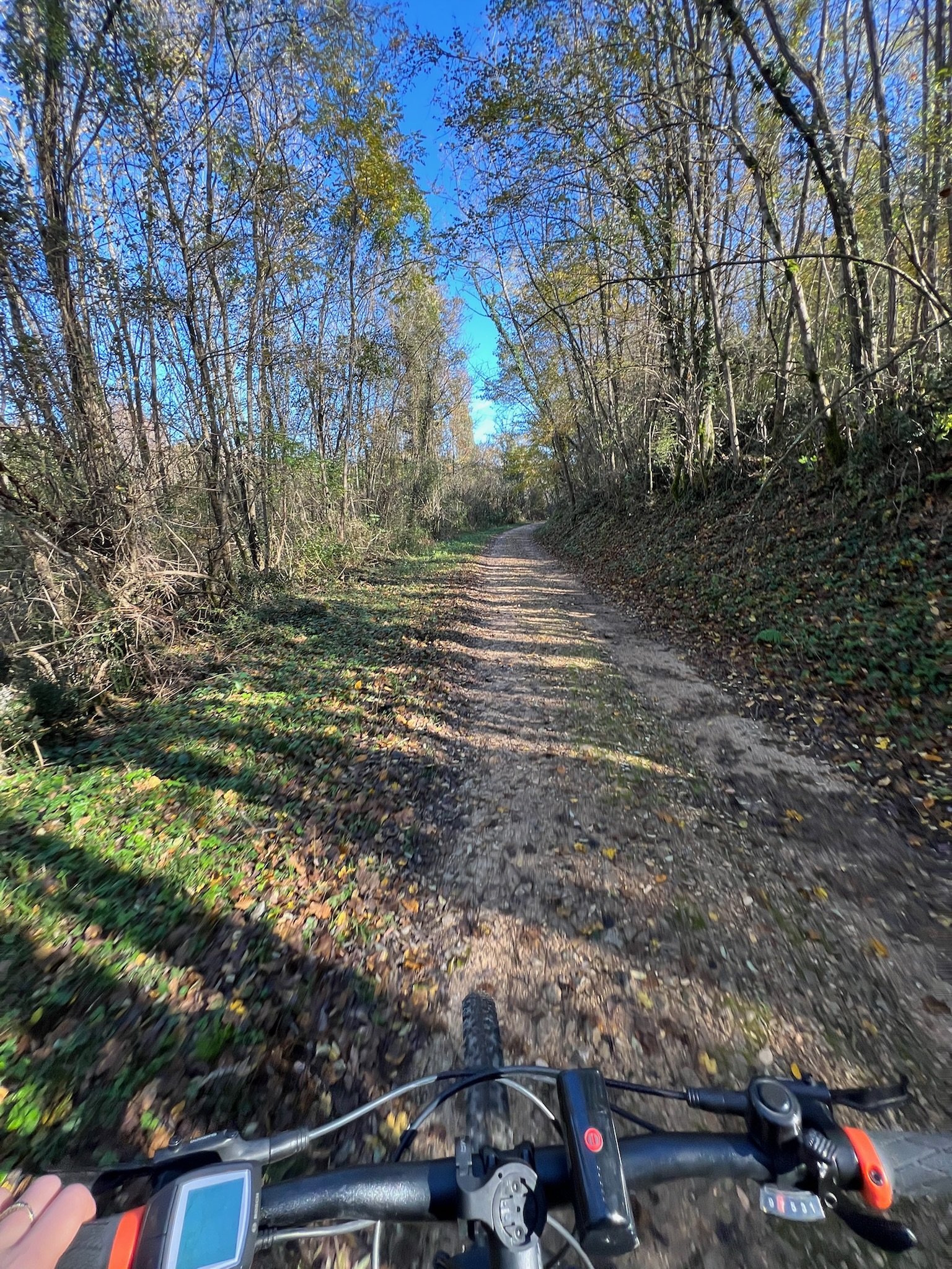  POV from bike handlebars on a packed-gravel Parenzana section through leaf-strewn woodland.