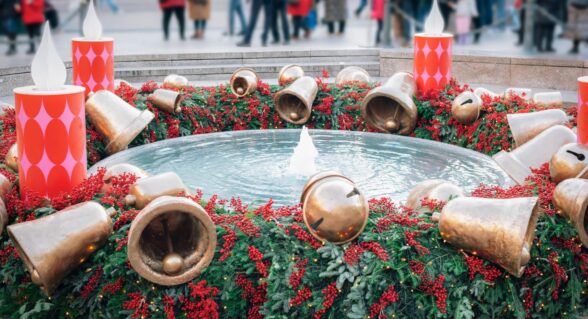 Fresh green wheat sprouts wrapped in burlap, symbolising a traditional Croatian Christmas decoration.