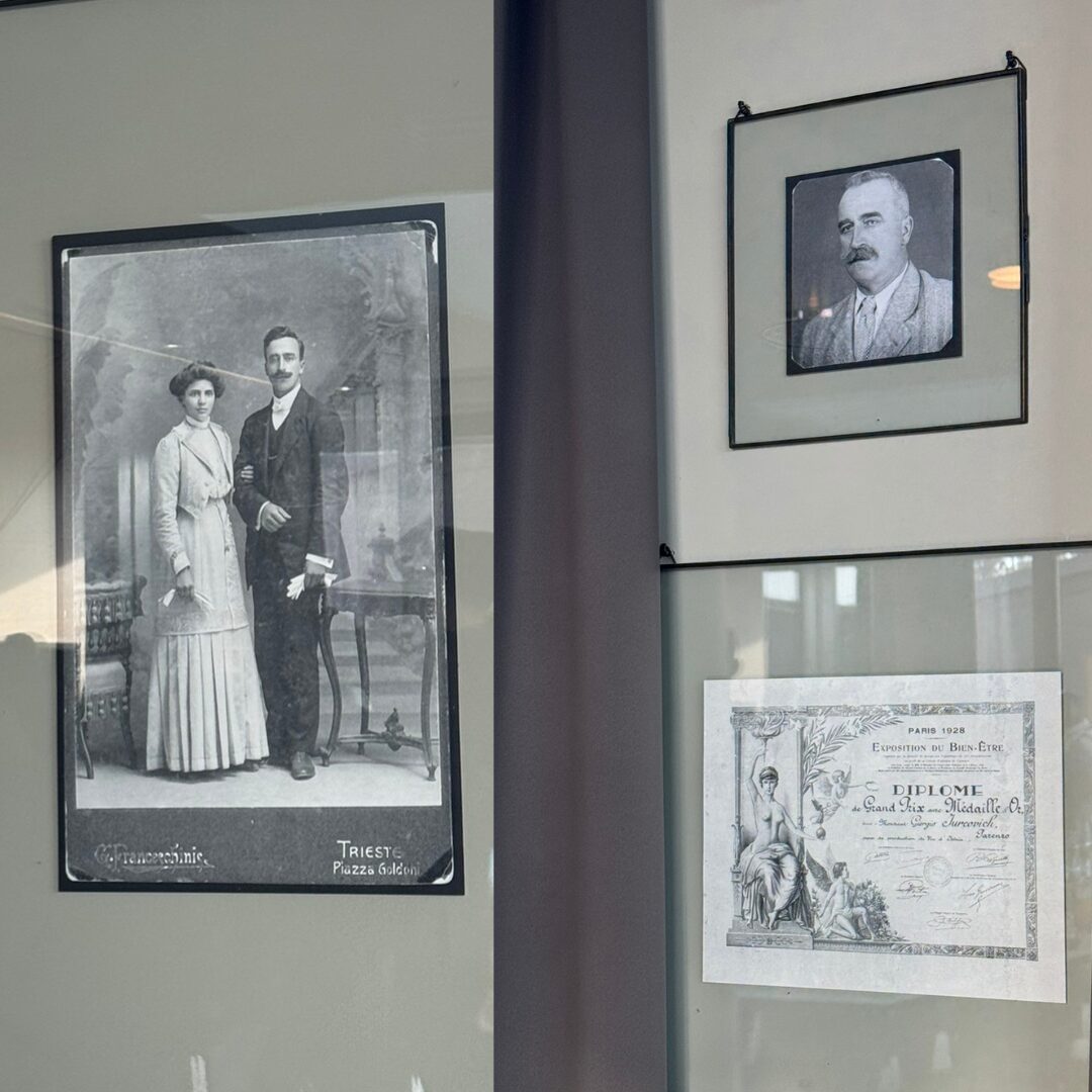 Framed archival photographs and a 1928 Paris Grand Prix diploma displayed on the wall at Damjanić Winery. Framed archival photographs and a 1928 Paris Grand Prix diploma displayed on the wall at Damjanić Winery.