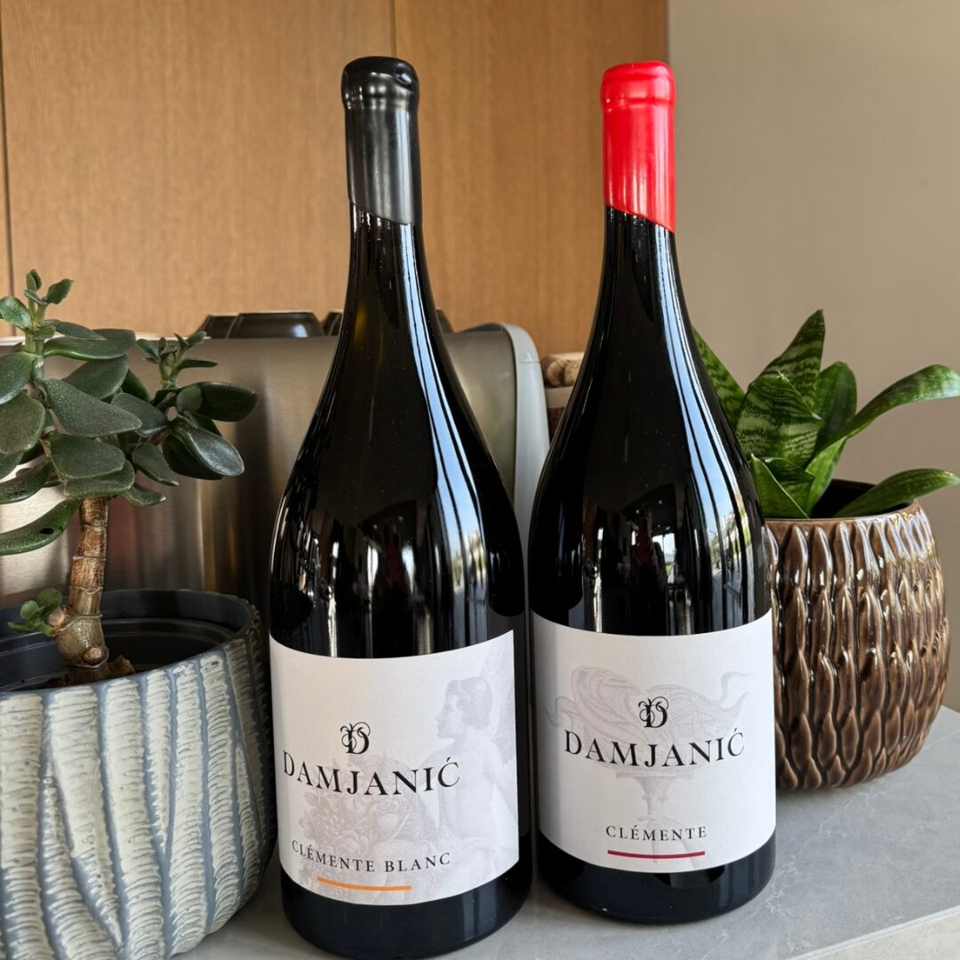 Two bottles of Damjanić Clémente wine: Clémente Blanc and Clémente red, displayed indoors beside decorative plants. Two bottles of Damjanić Clémente wine: Clémente Blanc and Clémente red, displayed indoors beside decorative plants.