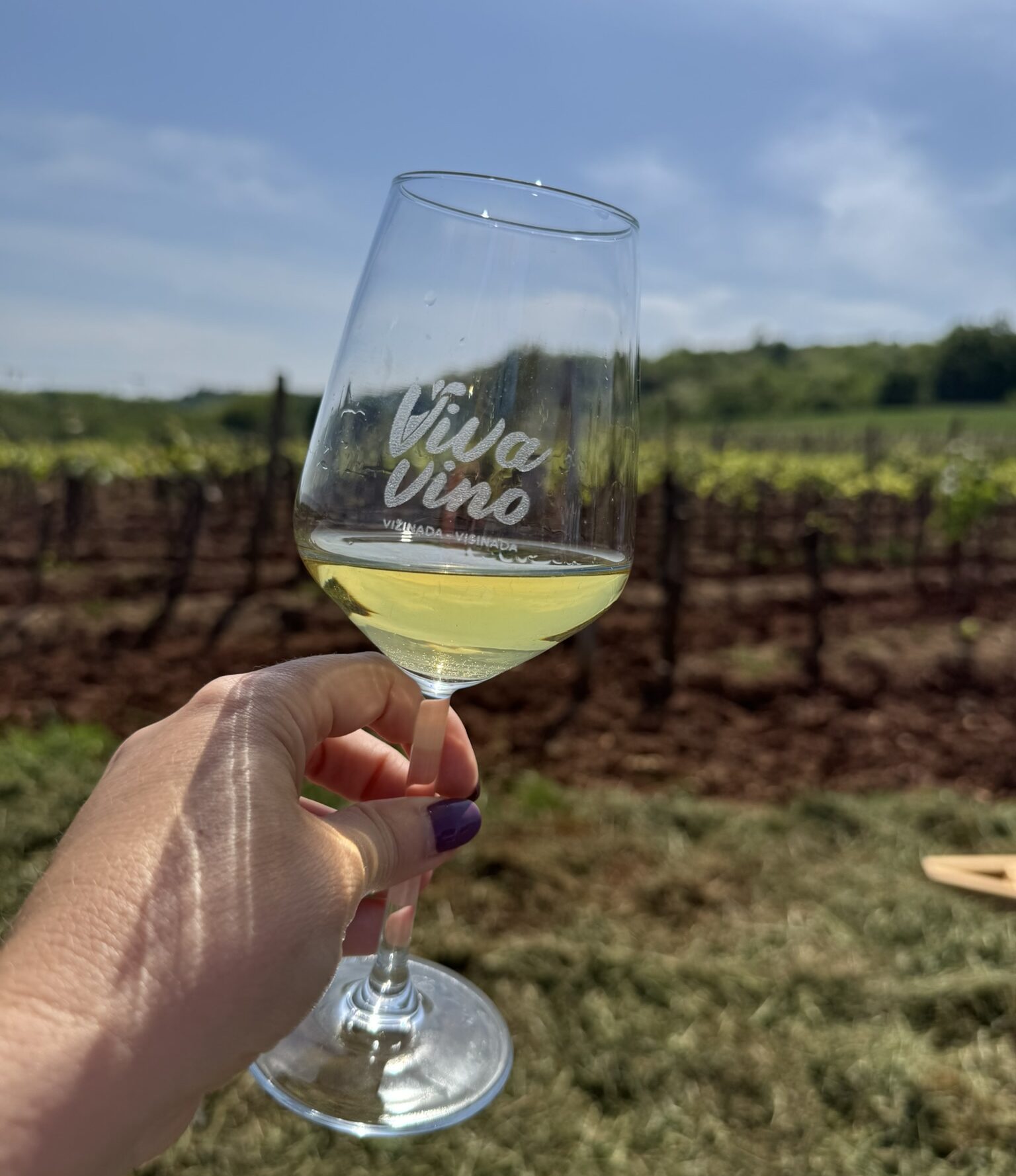 A woman holding a glass of wine up to the sun while taking a photo at the Viva Vino - Wine and Walk event in Vižinada.