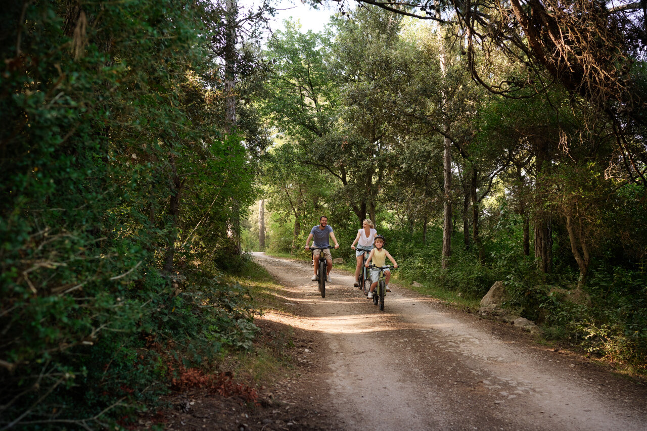 Family cycling along a forest trail on the island of Rab