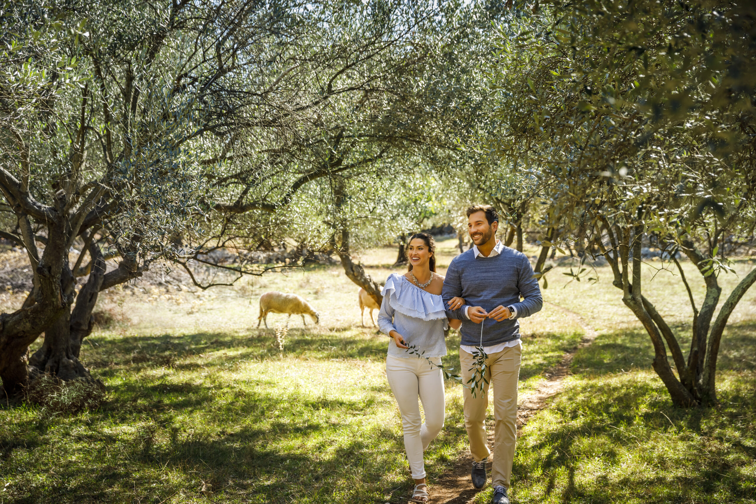 Couple walking through an olive grove on the island of Krk