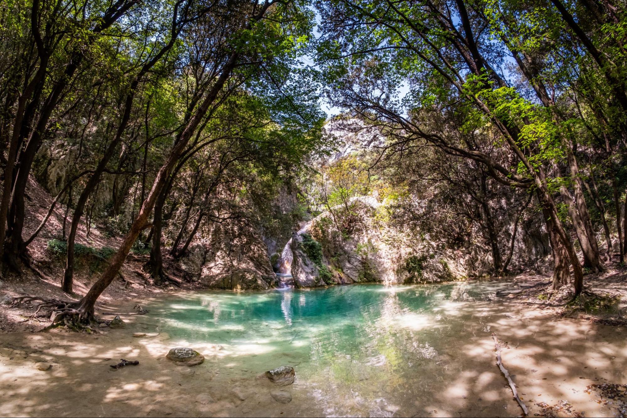 Forest trail and small waterfall on Sentona Trail